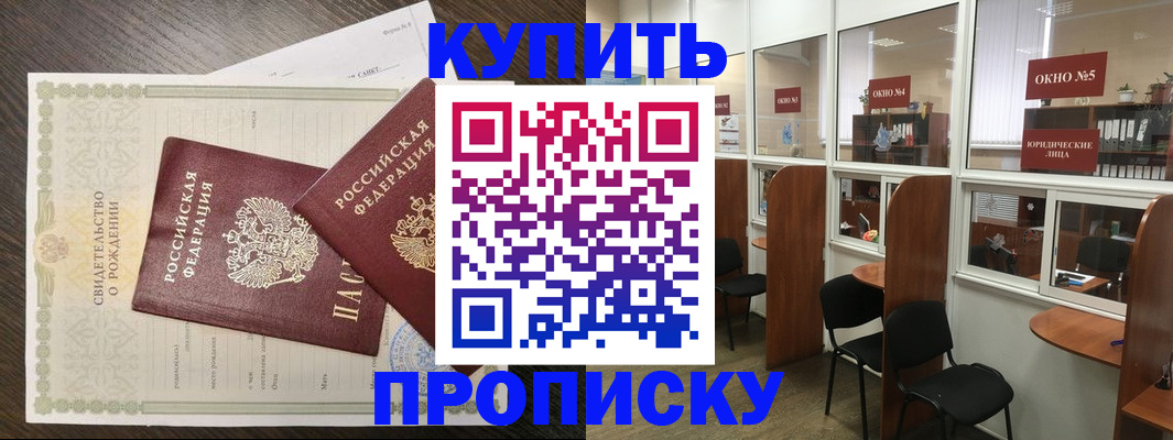 прописка законно в Светлограде